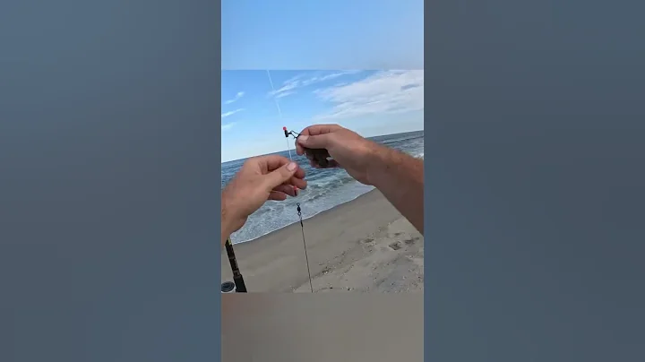 All you need to catch sharks from shore! #fishingequipment #sharkfishing #surffishing #njfishing