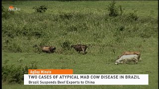 AgDay Minute 090821