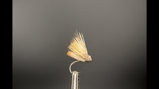 Foam Body Caddis