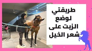 طريقة وضع خلطة الزيوت الطبيعية على شعر الخيل