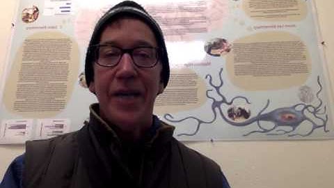 3 Connectionist Model