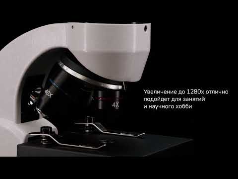 Видео: Микроскоп Levenhuk Rainbow D50L PLUS Moonstone Лунный камень