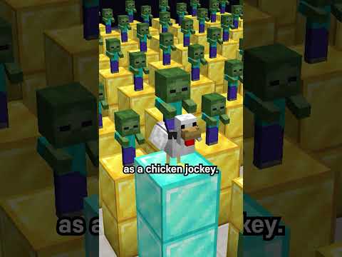 baby chicken baby jockey