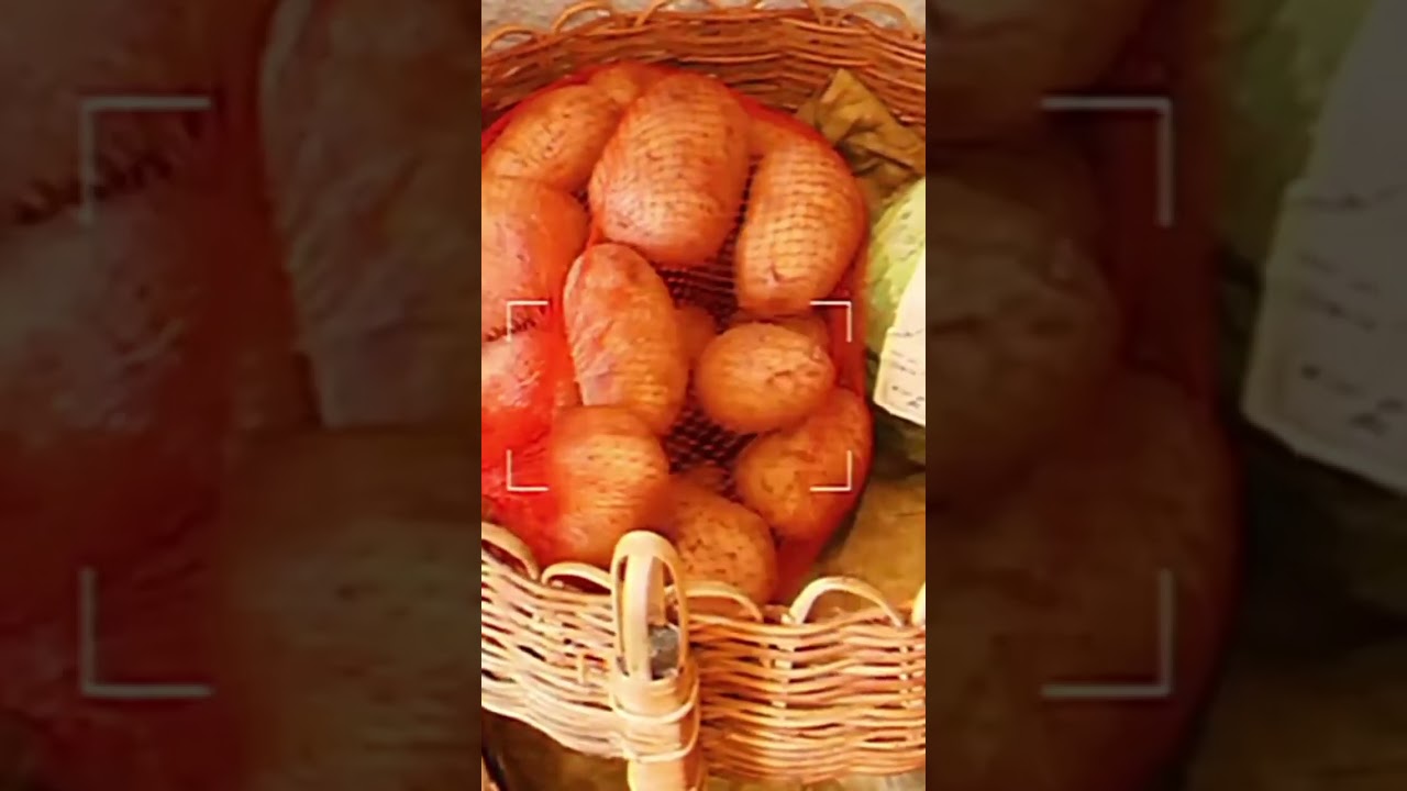 Pantry Clean & Organization for a small house 