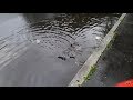 Unclogging and clearing grates after a storm