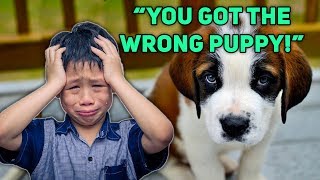 Top 5 MOST SPOILED KIDS and BRATS Tantrums Caught on Camera! Funny Temper Tantrum