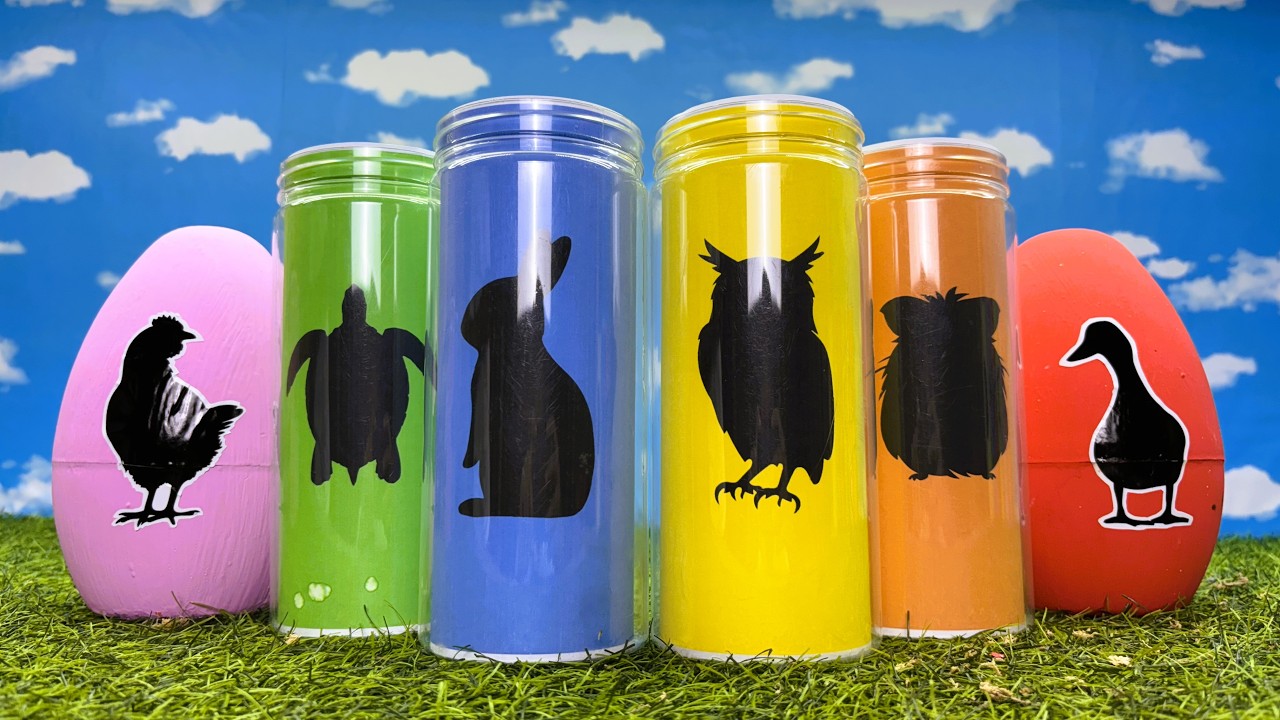 Pets: Owl, Duckling, Chick, Rabbit, Hamster, Turtle