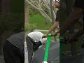 Homeless in MacArthur Park in downtown Los Angeles