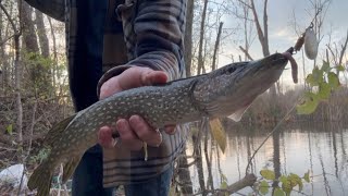 Fall Fishing Sessions 🎣