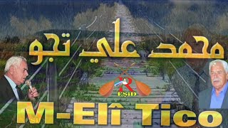 Ji Gotinên Hunermendê Nemir M-Elî Tico Di Sala 2011 De