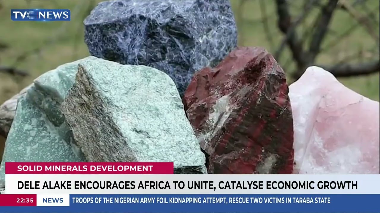 African Ministers Of Minerals Re-Elect Dele Alake As AMSG Chairman