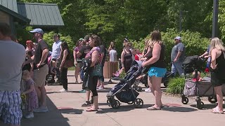 Moms get free admission at Niabi Zoo for Mother's Day