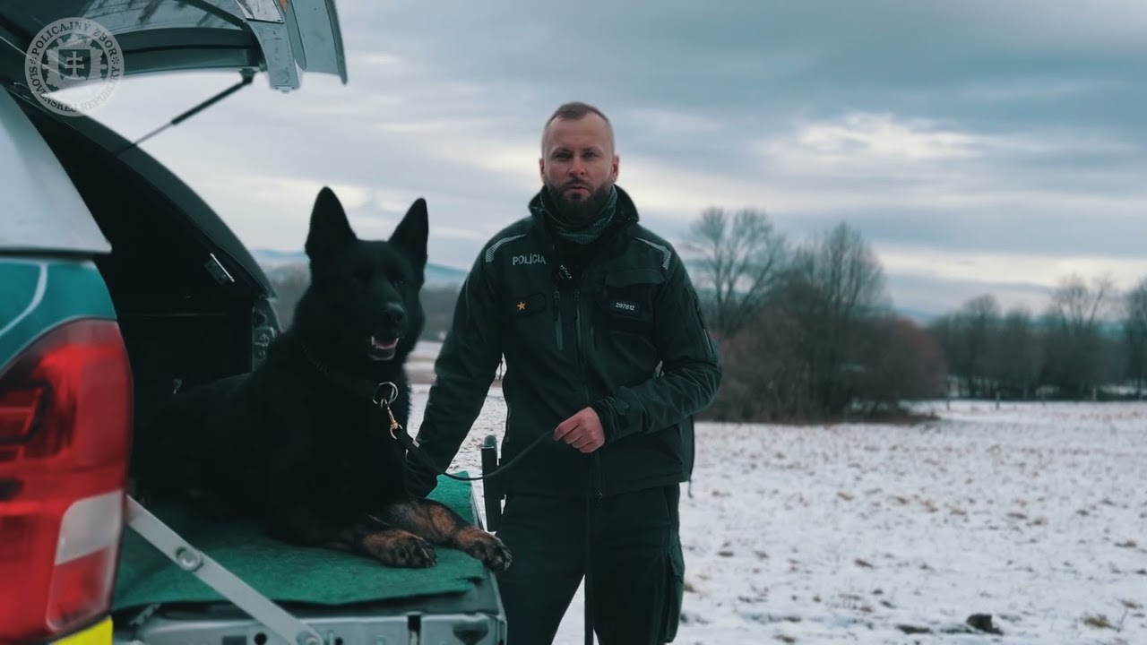 NAJLEPŠÍ POLICAJNÝ PES (6.): TOTO JE IVOR Z ÚRADU HRANIČNEJ A CUDZINECKEJ POLÍCIE