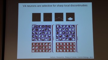 2018 Cognitive Neuroscience Workshop - Talk by Dr. Jack Gallant (Berkeley)