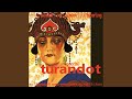 Miniature de la vidéo de la chanson Turandot: Atto I. “O Giovinotto” (Funeral March)