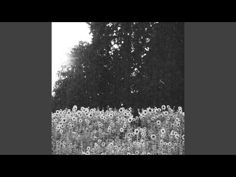 Haley Heynderickx - Oom Sha La La