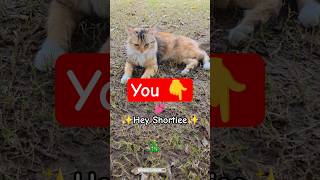 Send This To A Shortiee