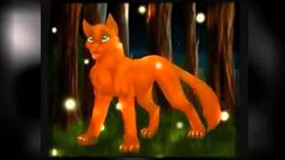 Leafstar Amd Billystorm