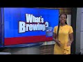 What's Brewing- Cornhole Tournament