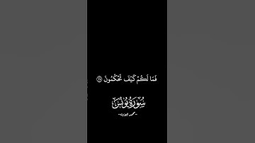 محمد ايوب | سورة يونس