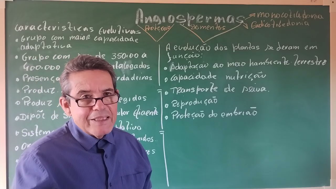 AULA 8 ANGIOSPERMAS