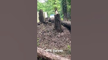 Finding property pins