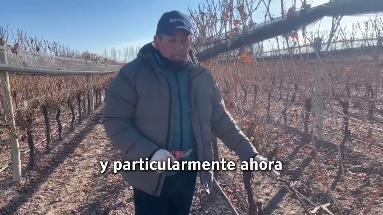 Día de poda: equilibrio y fertilización