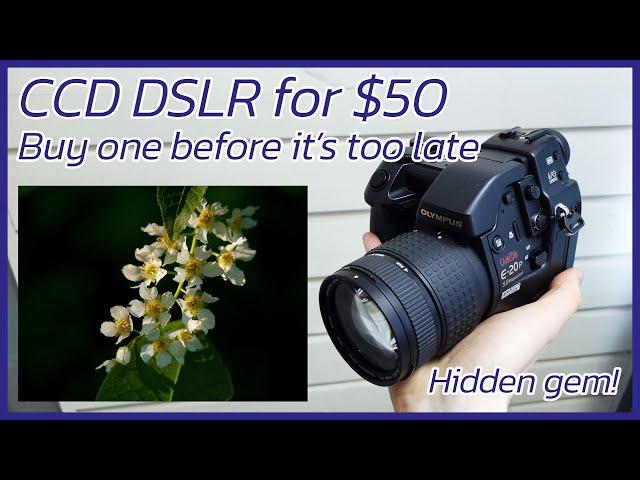 Underrated CCD Camera | Olympus E-20 POV Photography - YouTube