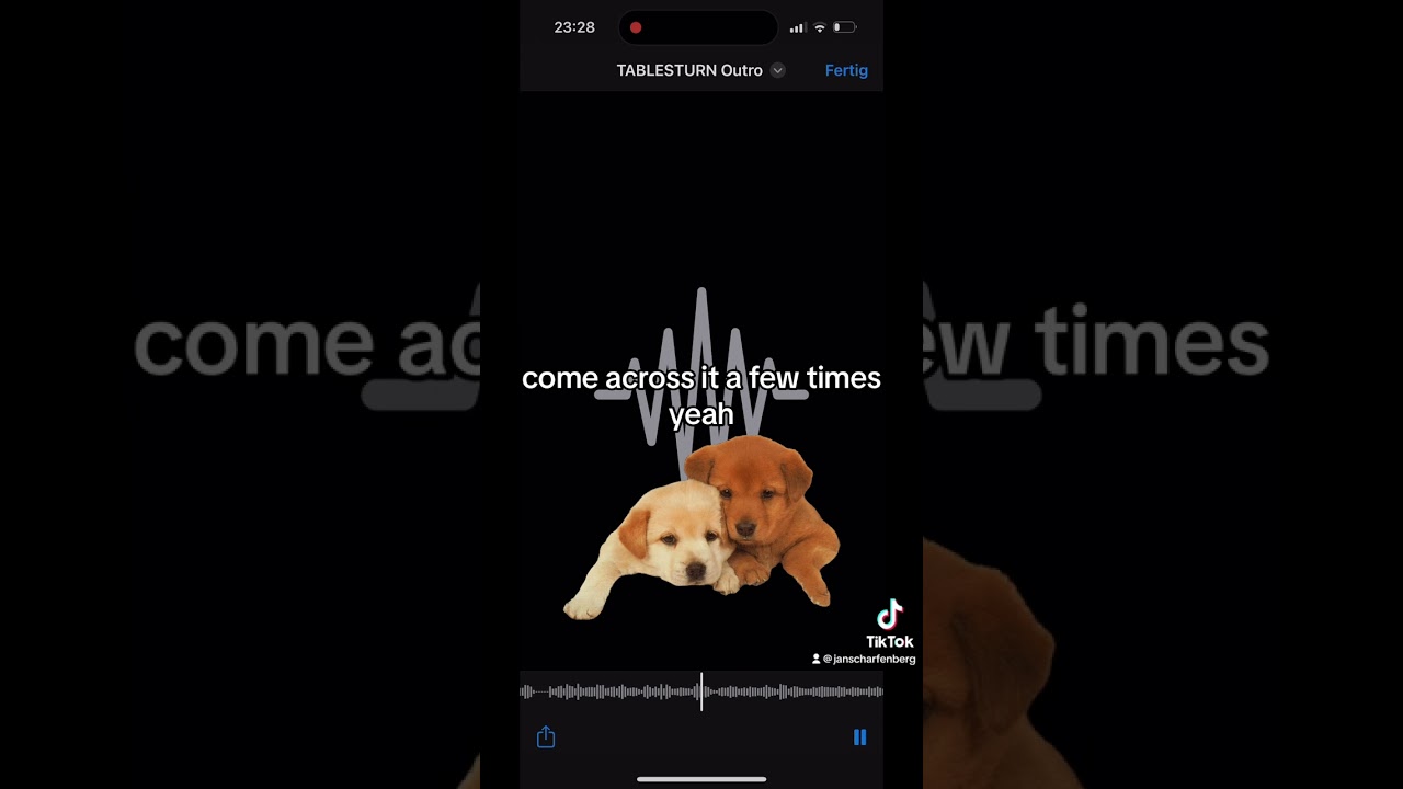 FORALLTHEDOGS INTRO? 