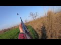 English Pointer Hunting Partridges in Pakistan の動画、YouTube動画。