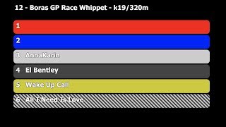 2019 07 07   Lopp 12   Borås GP Race Whippet