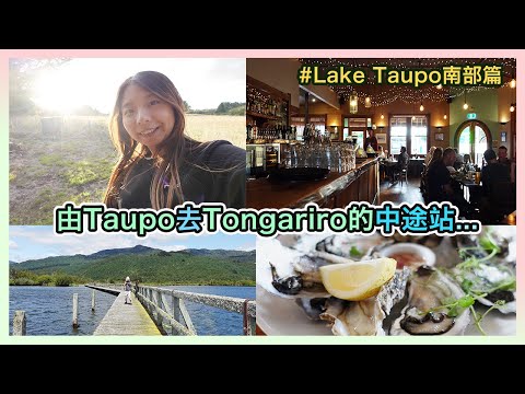 【北島中部遊#3】遊客不會知道的免費景點｜隱世碼頭比付費的地熱公園更好看 | 由Taupo去Tongariro的中途站… 美式酒吧Schnapps Bar、Cyprus Tree ｜DAY 3