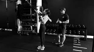 TRX Mid row