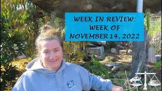 Week in Review: Week of November 14, 2022