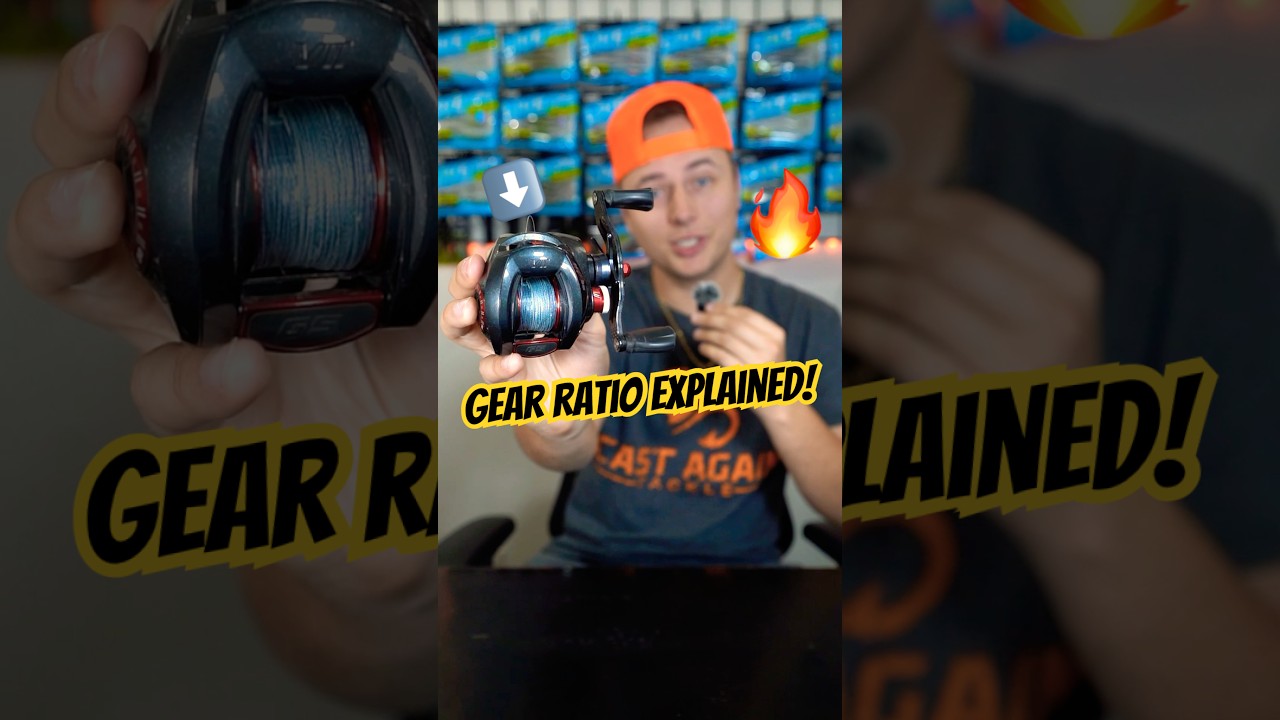 What IS Gear Ratio on a Fishing Reel?! 🤔🎣 
