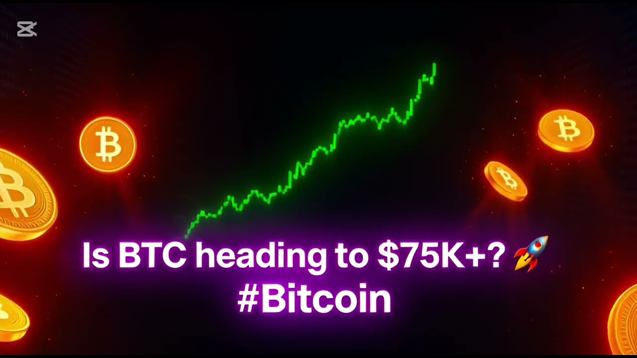 Bitcoin's volatility in February 2026