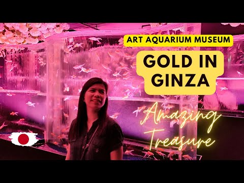 Art Aquarium Museum Ginza: You should know before you go!