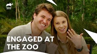 видео: 21-й день рождения Бинди превращается в неожиданное предложение руки и сердца | Боже мой! Это же ... картинка: 21-й день рождения Бинди превращается в неожиданное предложение руки и сердца | Боже мой! Это же ...