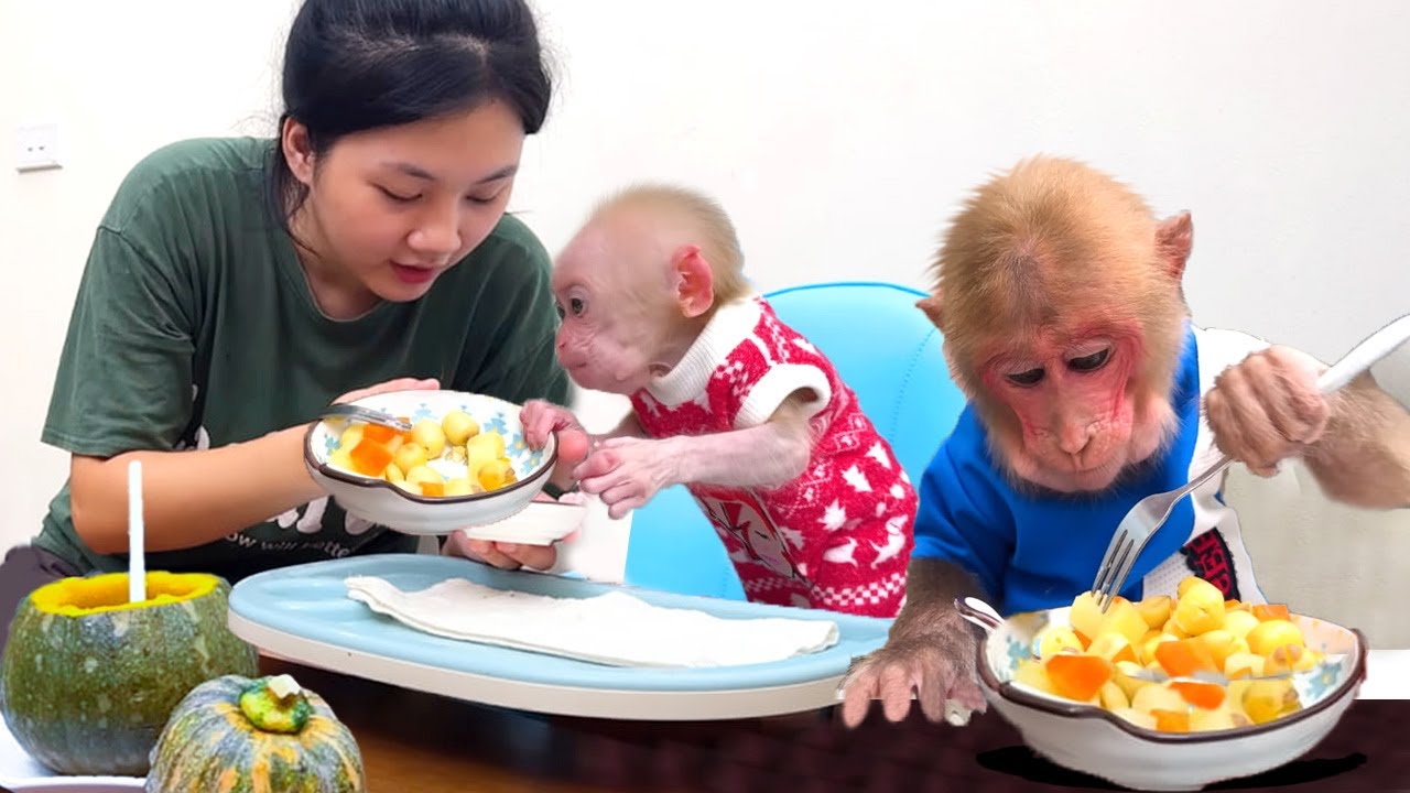 Bibi Helps Mom Cook a Simple Pumpkin Dish, but Baby Monkey LaLa Enjoys It Like a Feast! 🥘