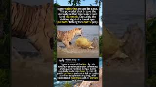 water splashing around its paws. #animalbehavior #memes #funny #wildlife #helpmemakethismakesense