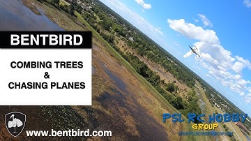 TBS Source One 7" Deadcat Combing Trees & Flying with Planes