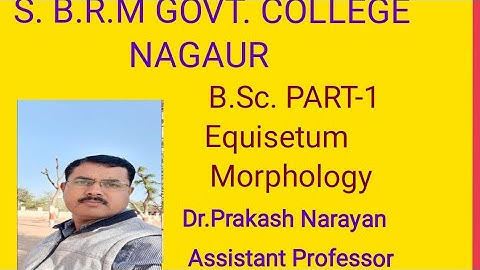 BSC PART 1 .EQUISETUM MORPHOLOGY.BY DR.PRAKASH NARAYAN