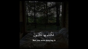 ألم تكن آياتي تتلى عليكم فكنتم بها تكذبون 🖤 إسلام صبحي #قران #quran #قران_كريم سورة المؤمنون