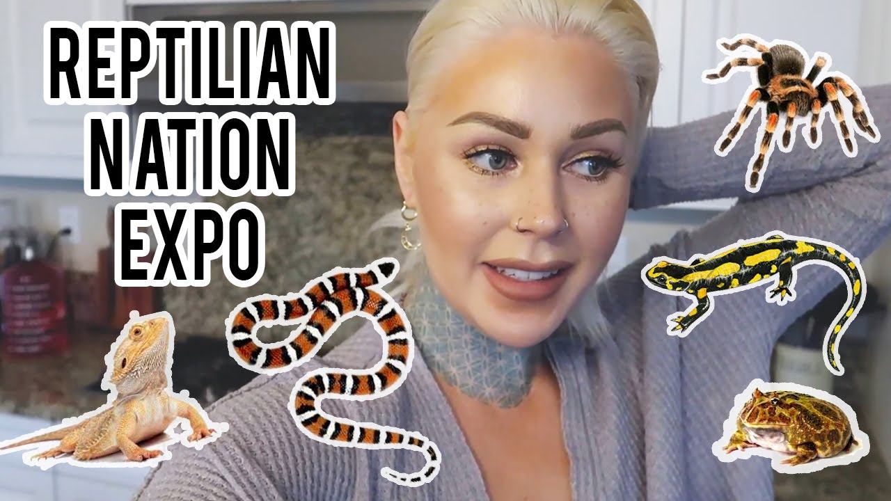 LET'S GET A NEW ANIMAL REPTILIAN NATION EXPO | KristenLeannimal