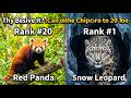 The 20 Most Beautiful Animals on Earth Number1Will Shock You! 😱 #Nature #lifelessons #animals