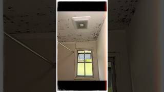 Mold problem? #mold #airquality #victoriabc #VictoriaMouldRemoval