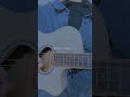 アルジャーノン/ヨルシカ