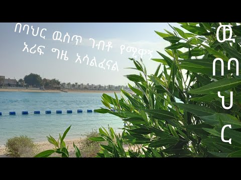 ቪዲዮ: ጥሩ ጎረቤት ያስፈራል?