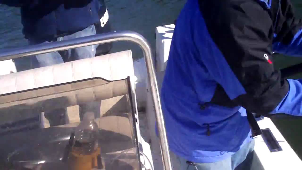 Stripemasters Guide Service Trip 205-300-0728, 205300-0348