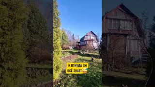 100% вашу причину угадал! список - в закрепленном комментарии #домпродажа #дача #сергиевпосад